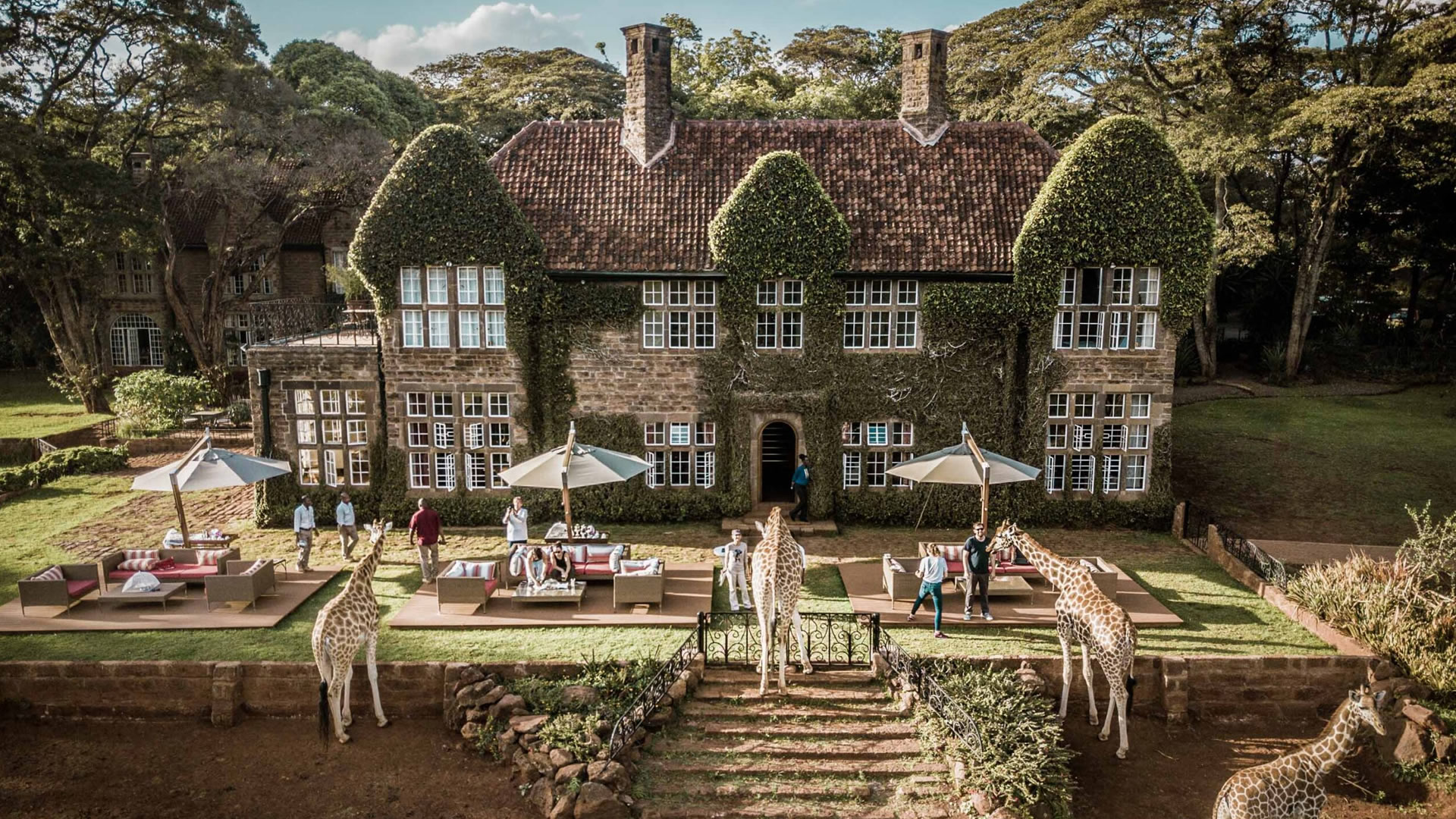 giraffe manor