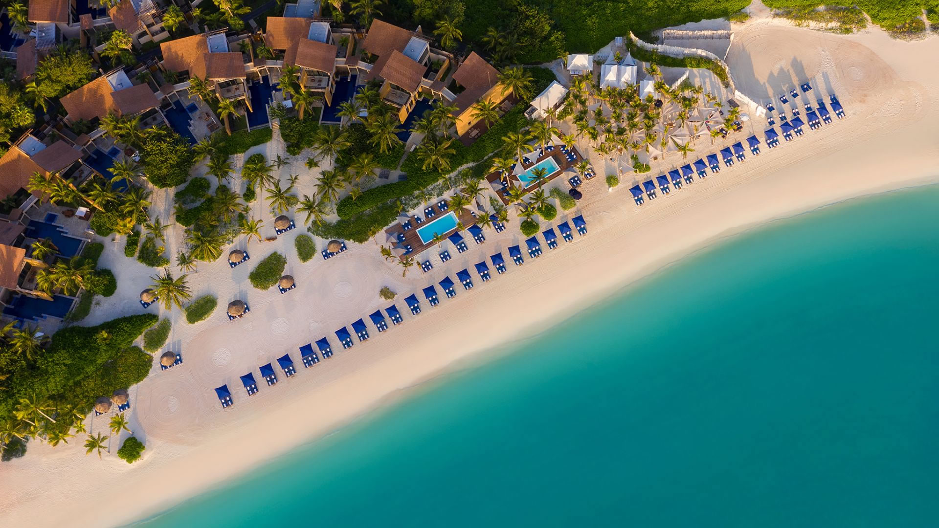 melia zanzibar