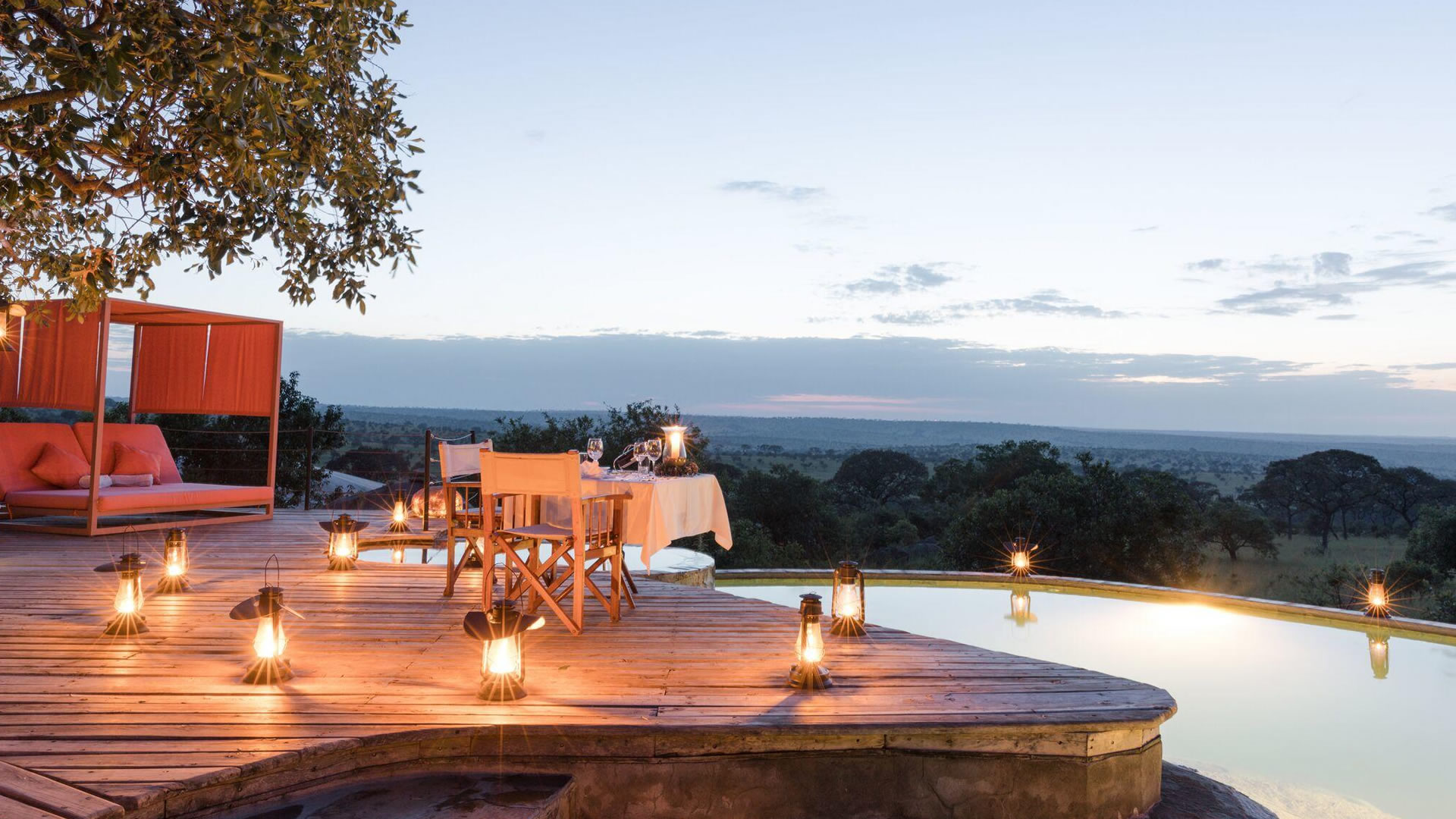 serengeti bushtops