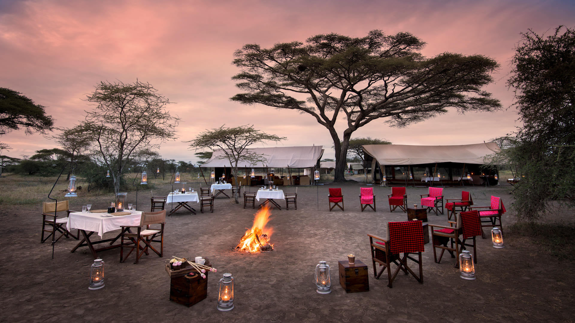 &beyond serengeti under canvas