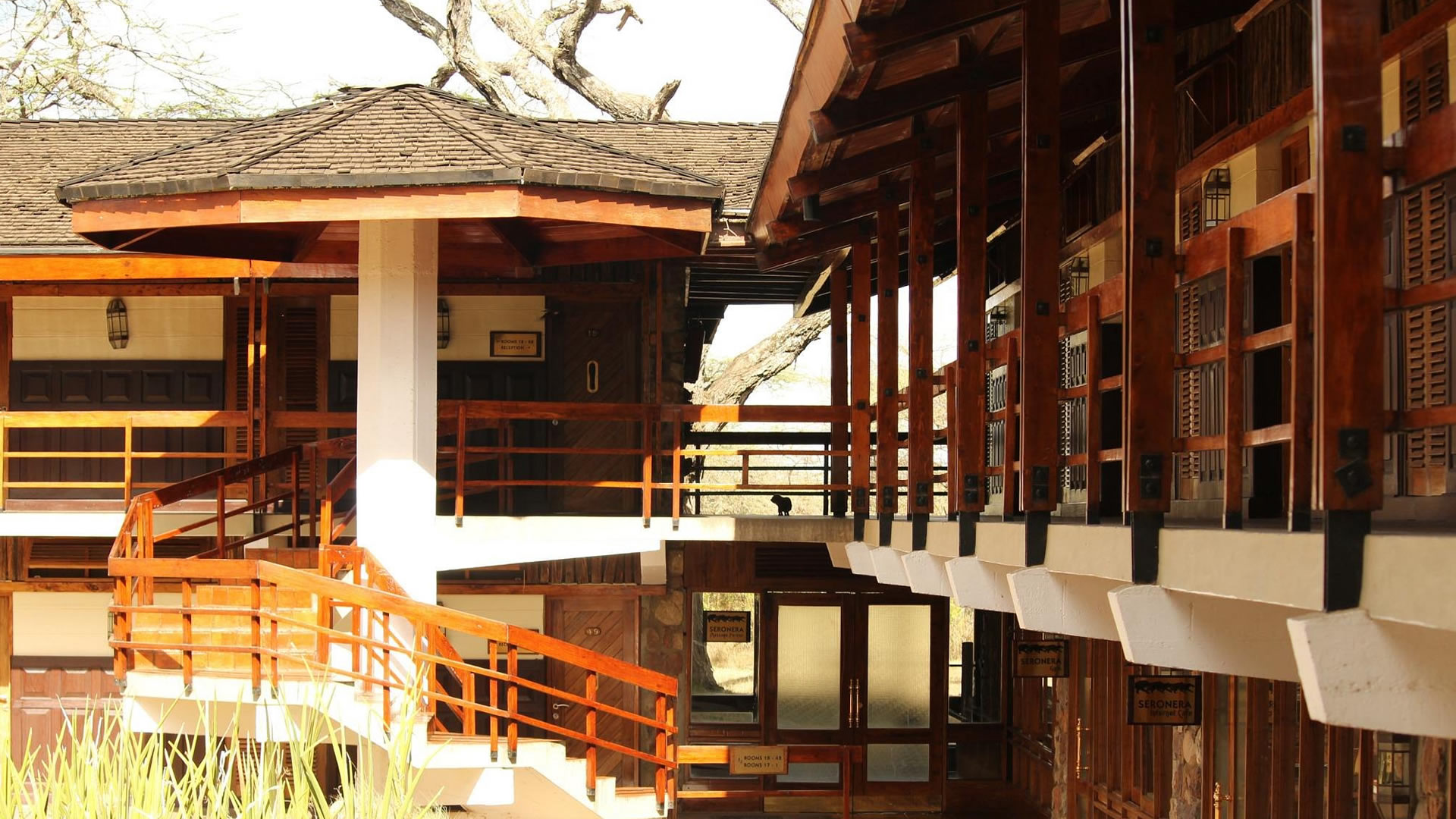seronera wildlife lodge