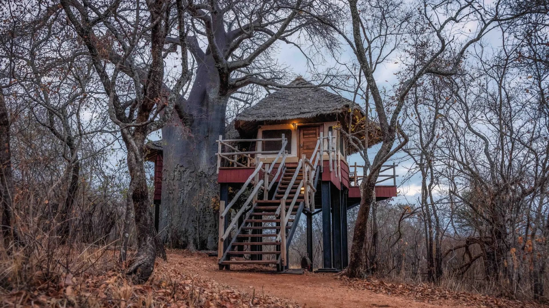 tarangire treetops lodge