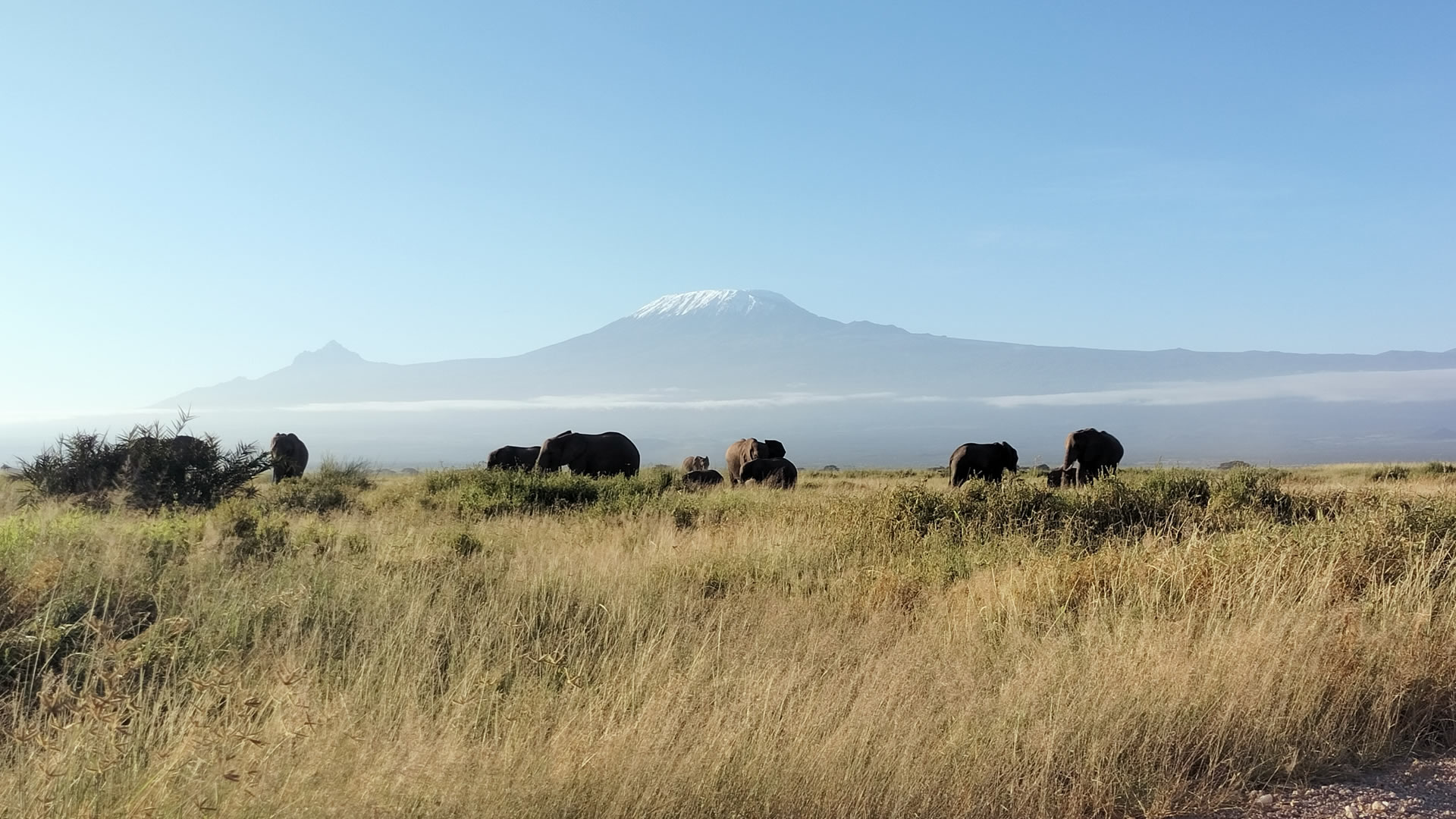 kilimanjaro national park