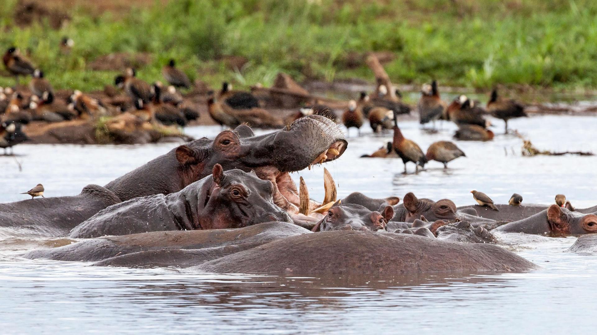12 Days Tanzania Scenic Highlights
